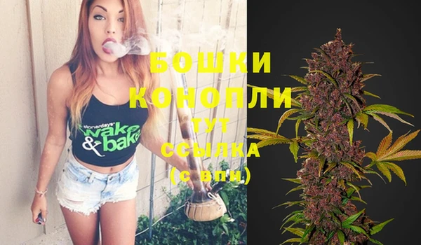 Альфа ПВП Белокуриха