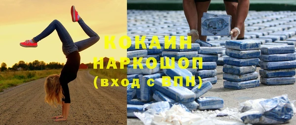 Альфа ПВП Белокуриха