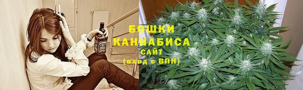 Альфа ПВП Белокуриха
