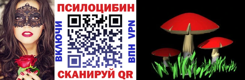Купить закладки  Можайск  Галлюциногенные грибы Psilocybine cubensis 